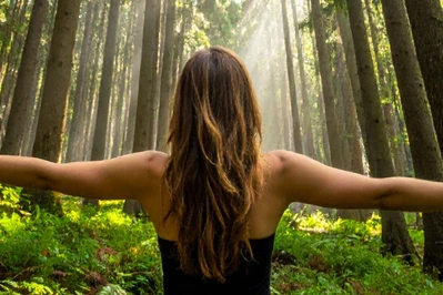 Sescacay – sekret natury dla odmłodzenia i ukojenia skóry