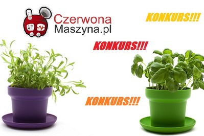 NIEZŁE ZIÓŁKO - wyniki konkursu!