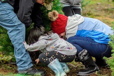 500 plus może być dopiero po świętach! Minister apeluje do samorządów