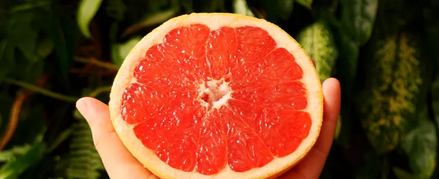Dlaczego nie można popijać leków sokiem grejpfrutowym?