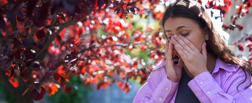 Co pyli w kwietniu? Kalendarz pylenia